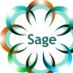 Sage Consulting Services, LLC updated their address.